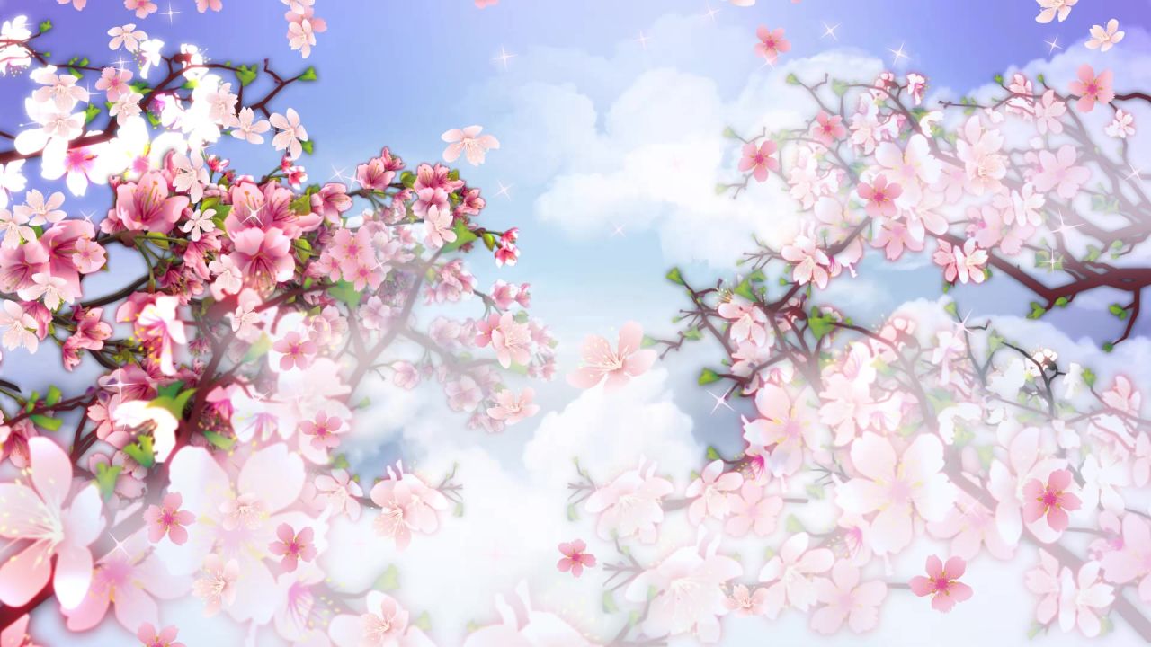 唯美桃花背景视频 9