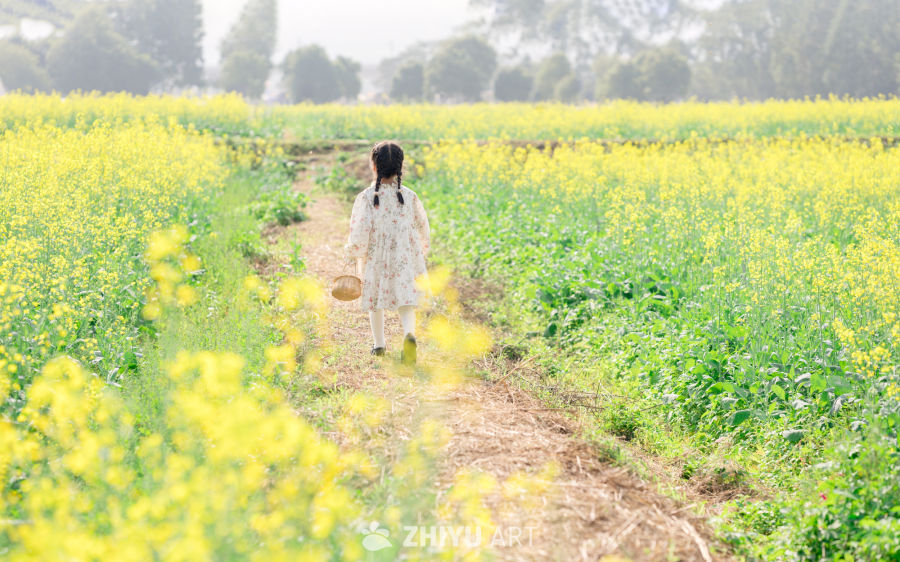 小女孩在油菜花田的背影