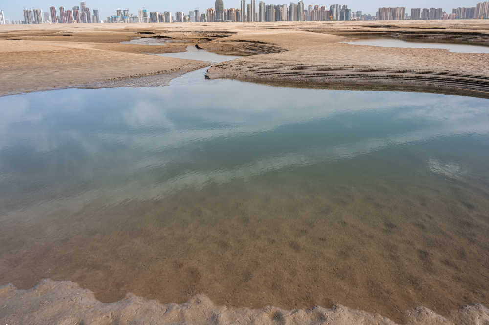 武汉天兴洲湿地
