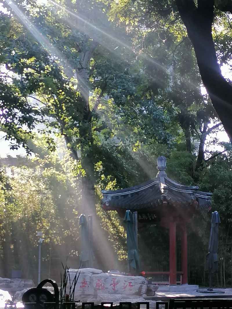 晨光中的江亭