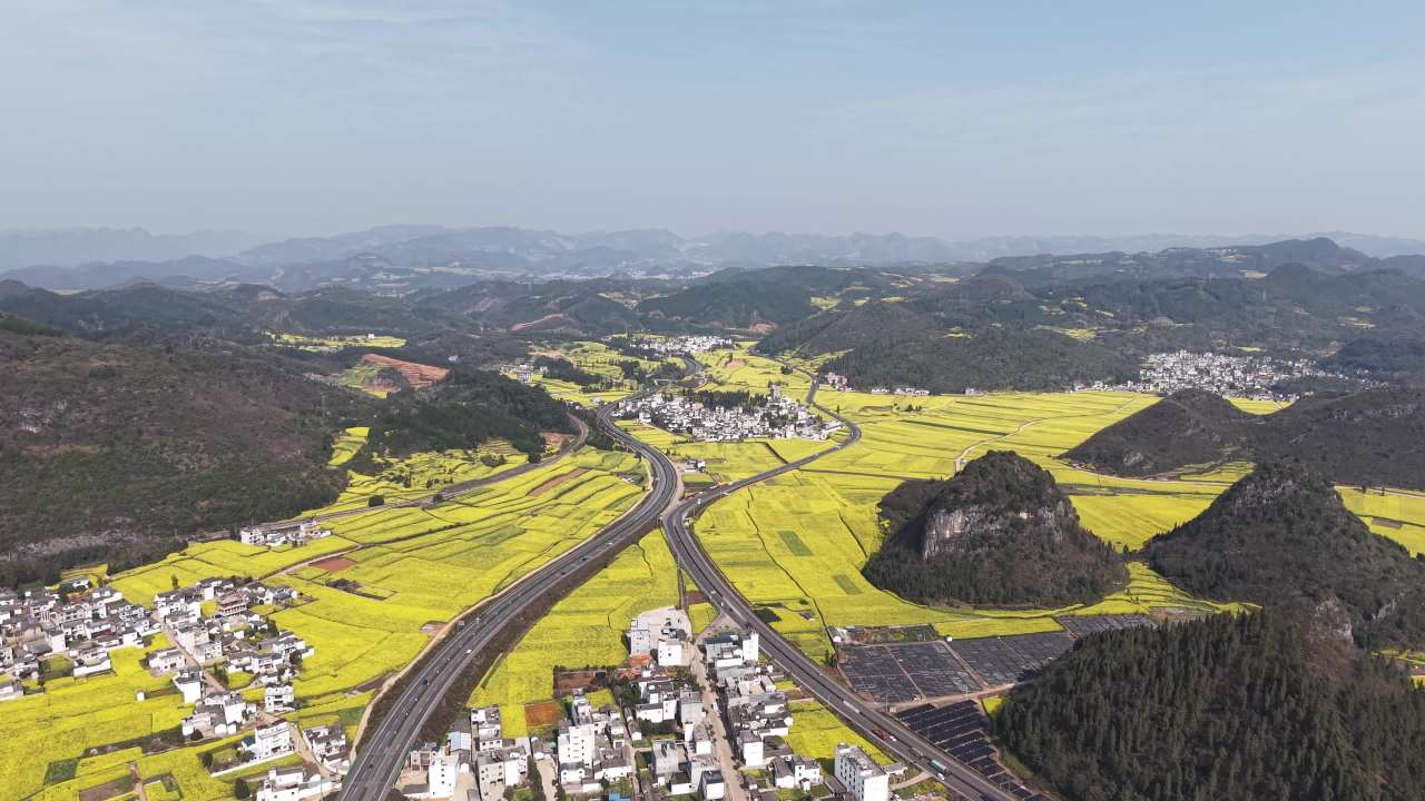乡村油菜花海航拍