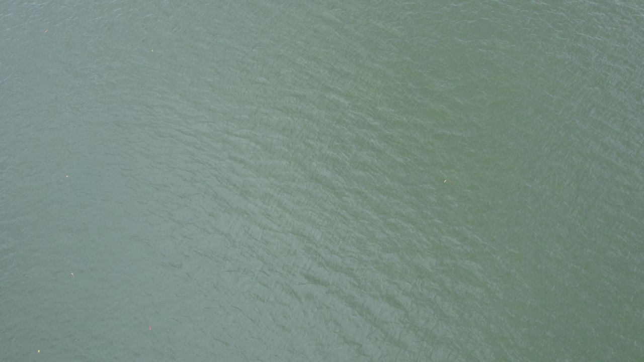 春天丰水期河岸航拍 21