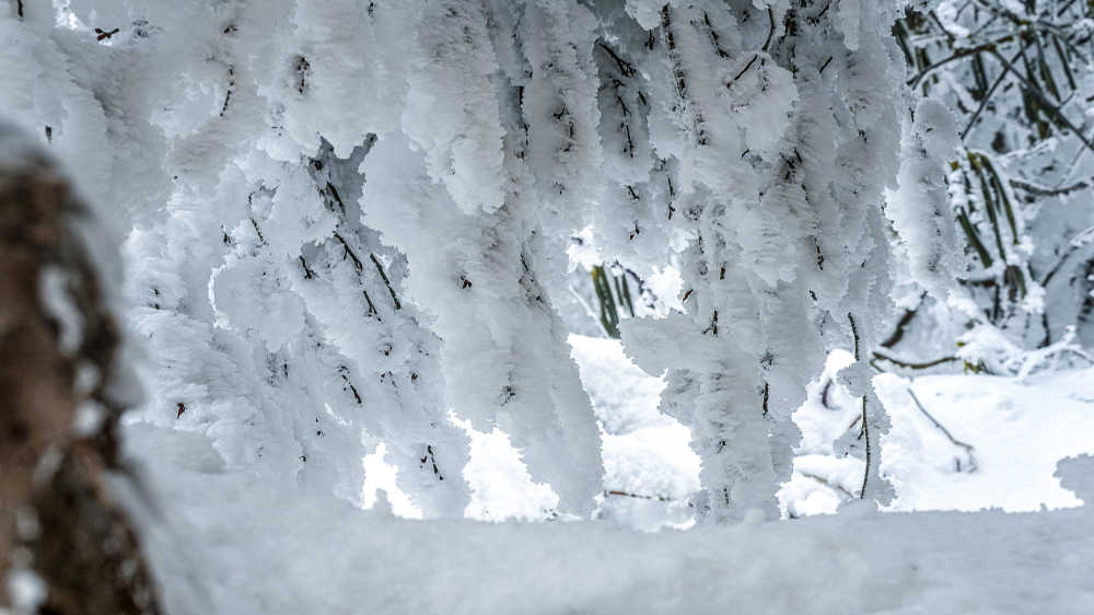 峨眉山雪
