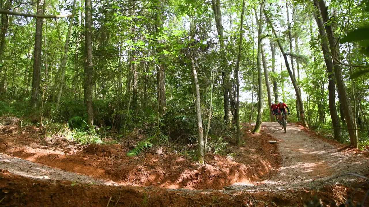 山地自行车骑手森林自行车道骑行速度激情