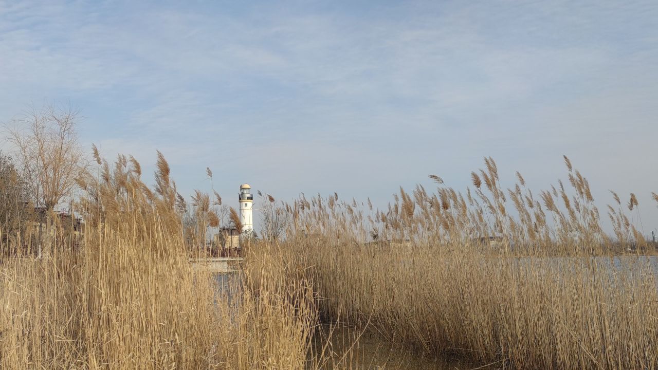 湖景