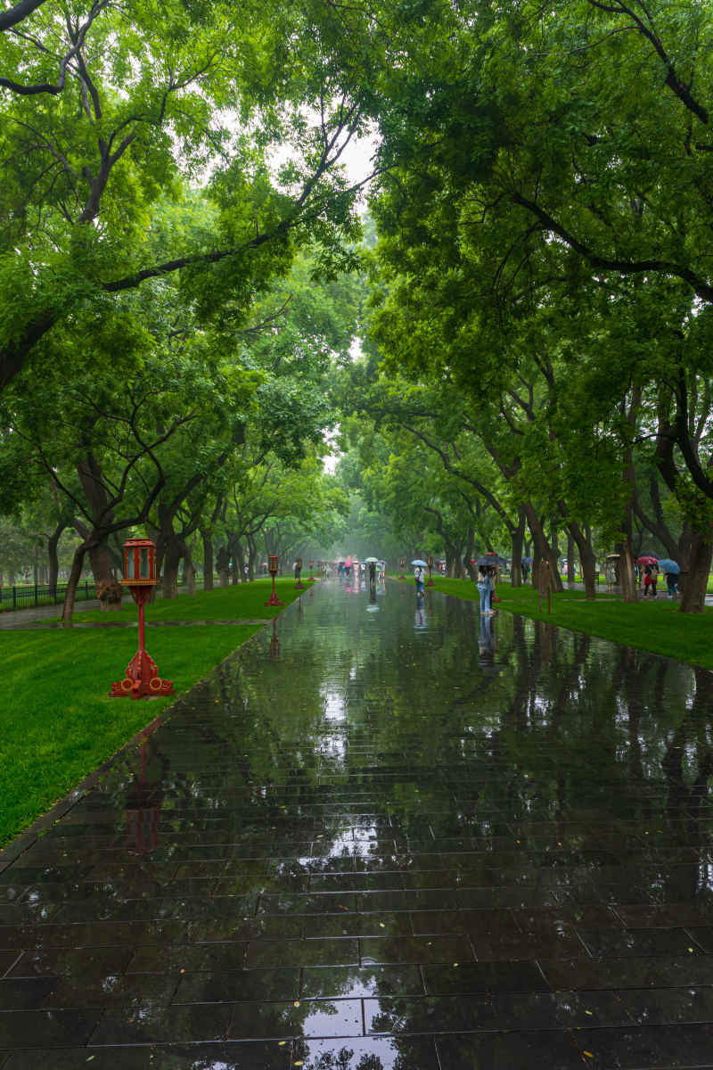 雨后天坛