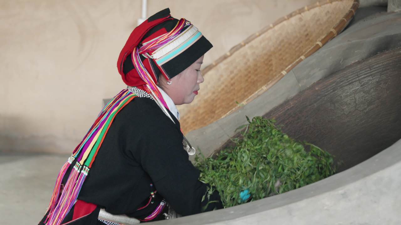 传统茶农手工制茶