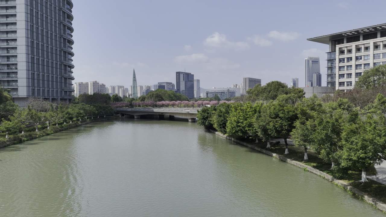 城市河畔的春天