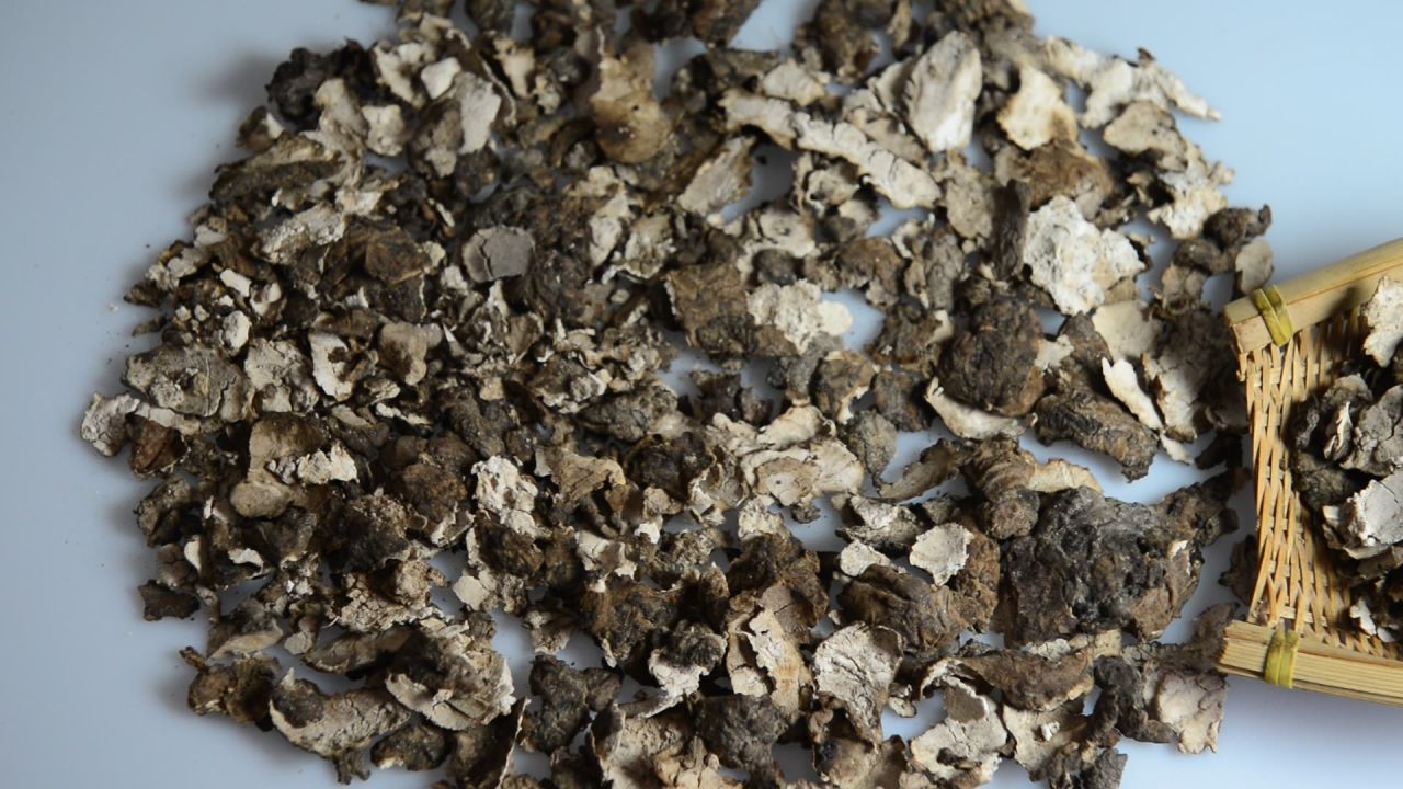 茯苓皮中药材 9