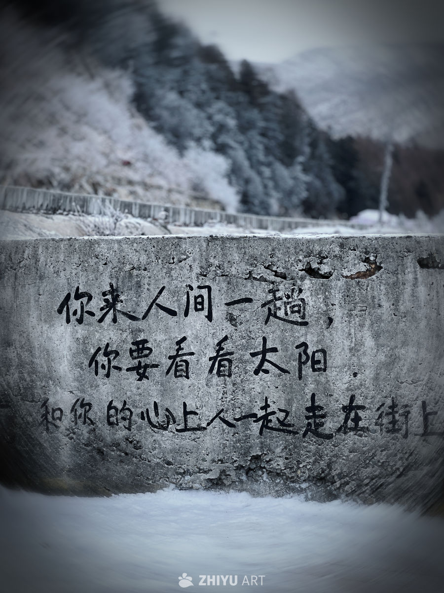 你来人间一趟，你要看看太阳和你的心上人，一起走在街上