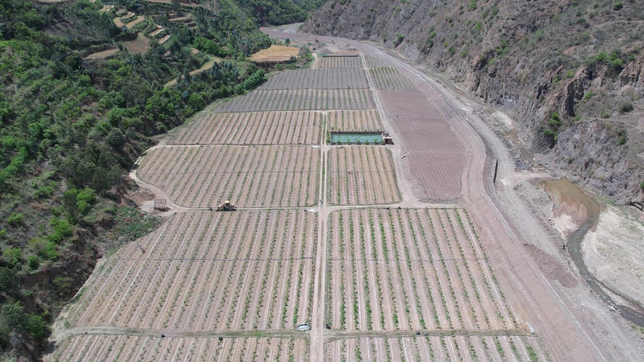 河谷地带柑橘种植基地2