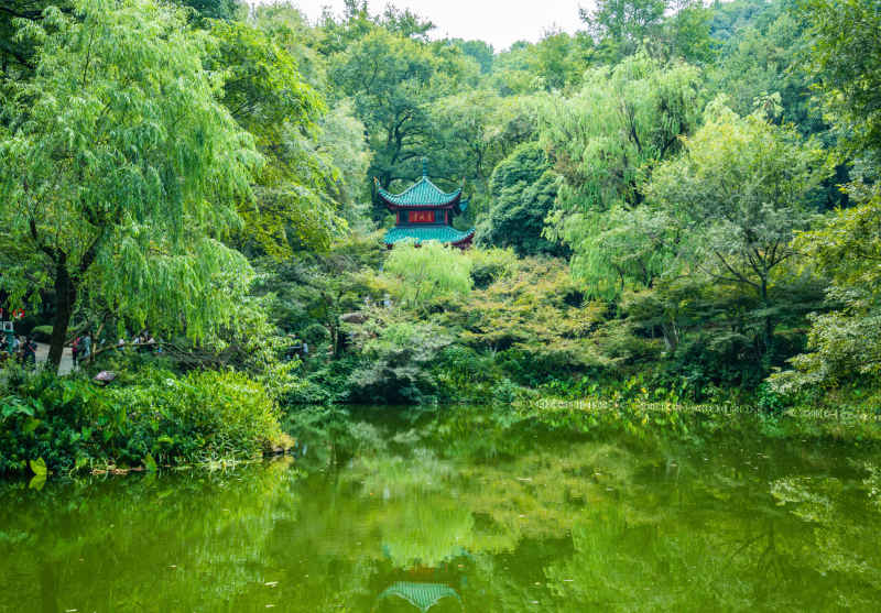 湖南长沙岳麓山爱晚亭