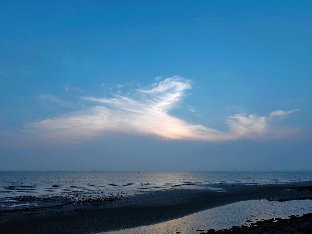 海上凤凰