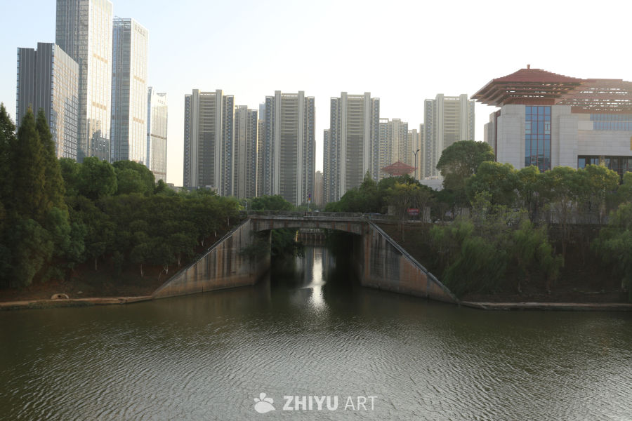 城市中的静谧河流