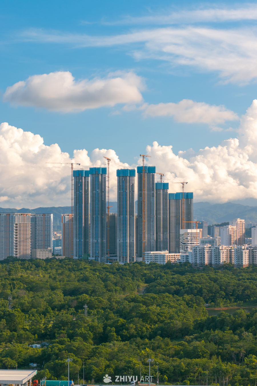 城市新貌：高楼林立与绿意盎然