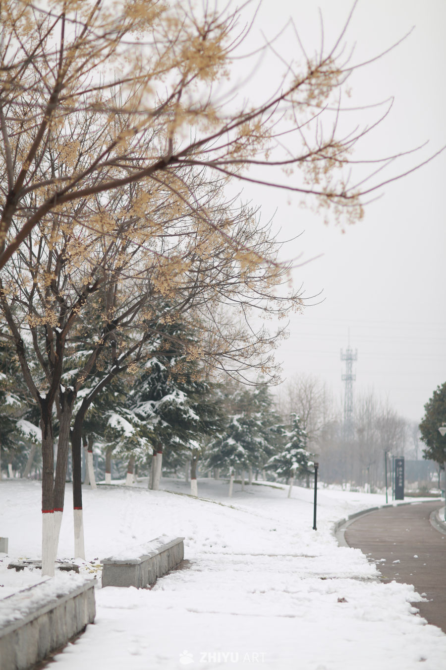 冬日雪景