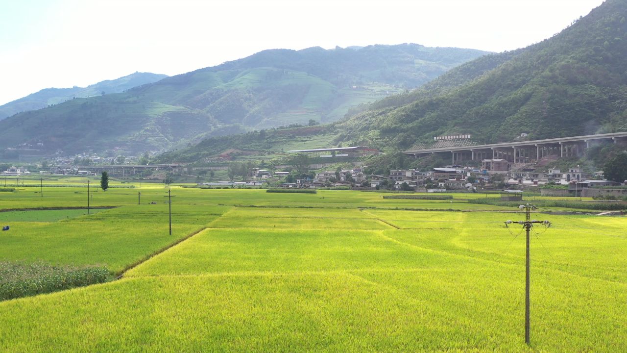 城市、稻田 22