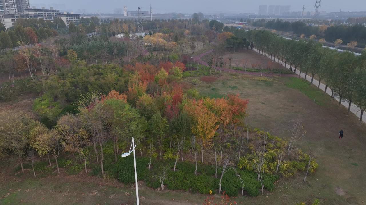 秋日公园航拍
