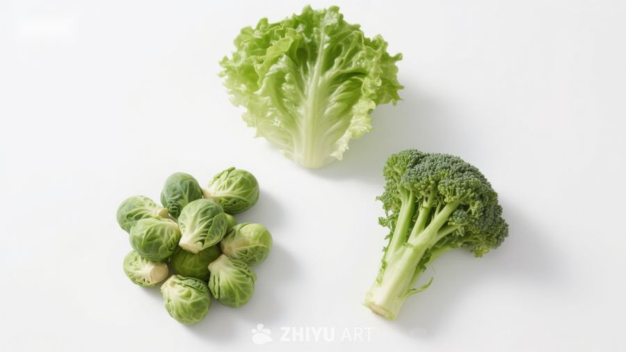 新鲜绿色蔬菜组合