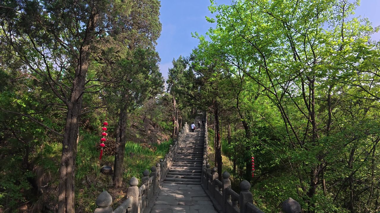石阶上的自然之旅