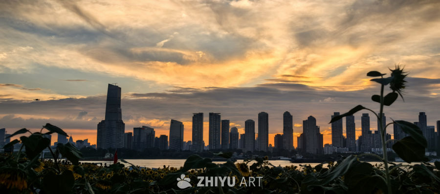 愿我们像向日葵一样，永远阳光明亮✨