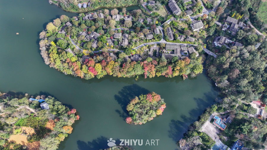 航拍水边枫叶美景  初冬枫叶似火 32