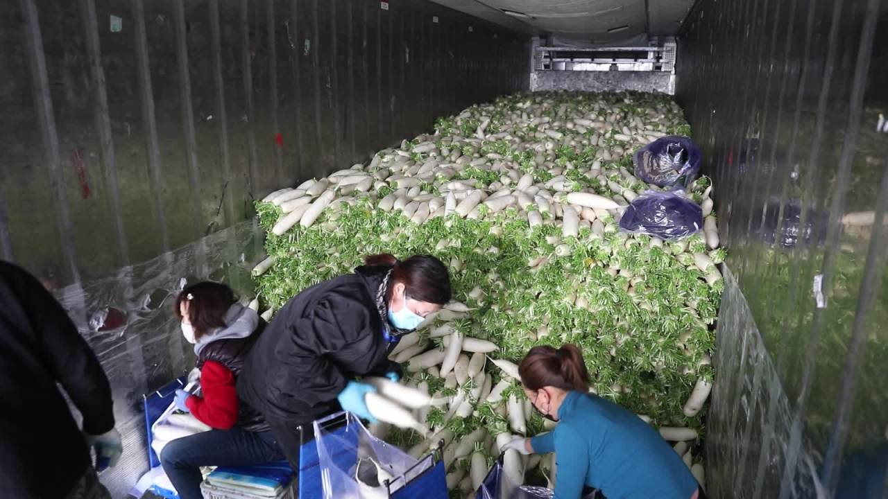 批发市场