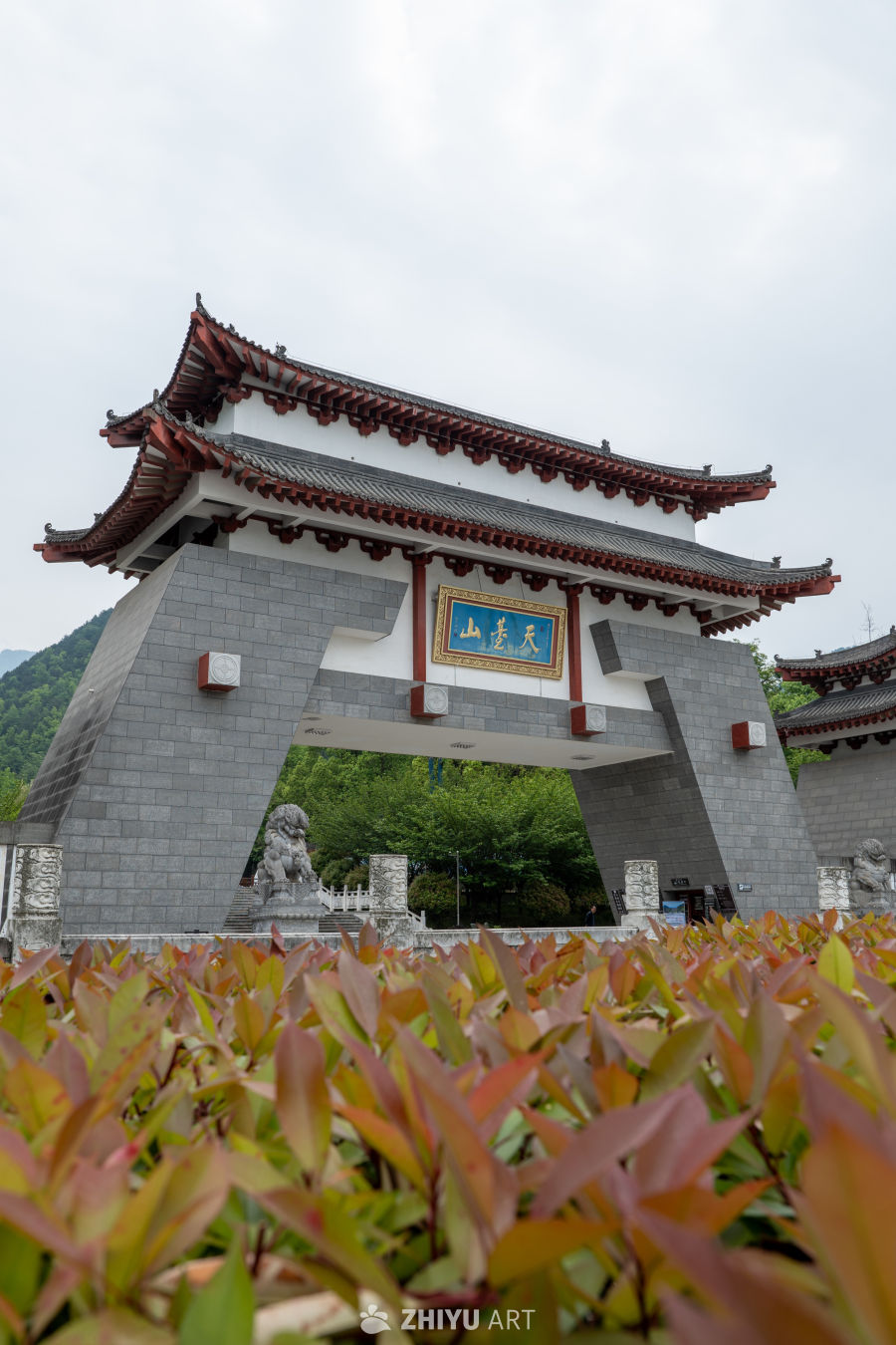 森林公园 6
