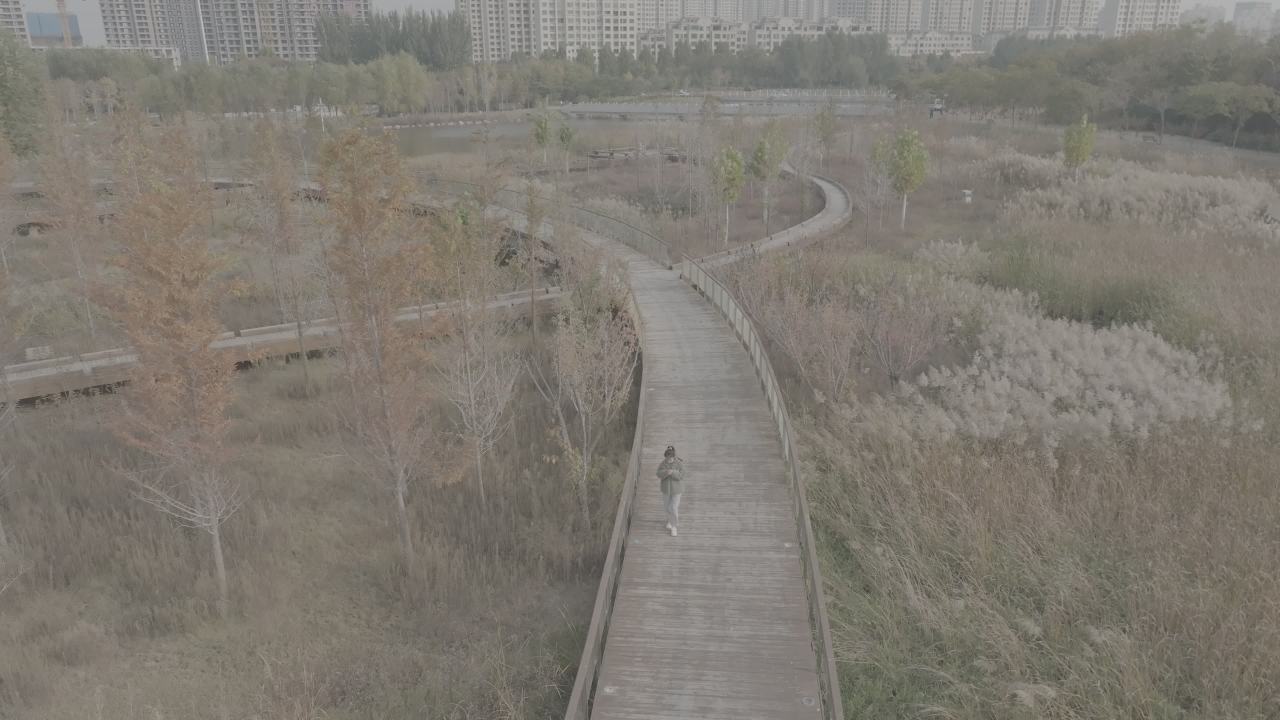 秋日木栈道漫步