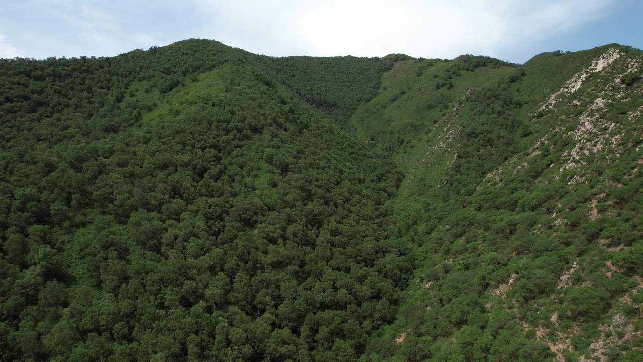 航拍绿色山川自然景观