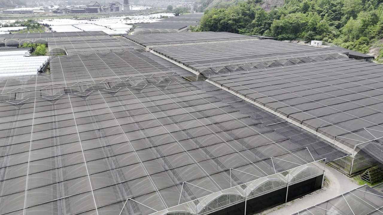 温室群落的空中视角