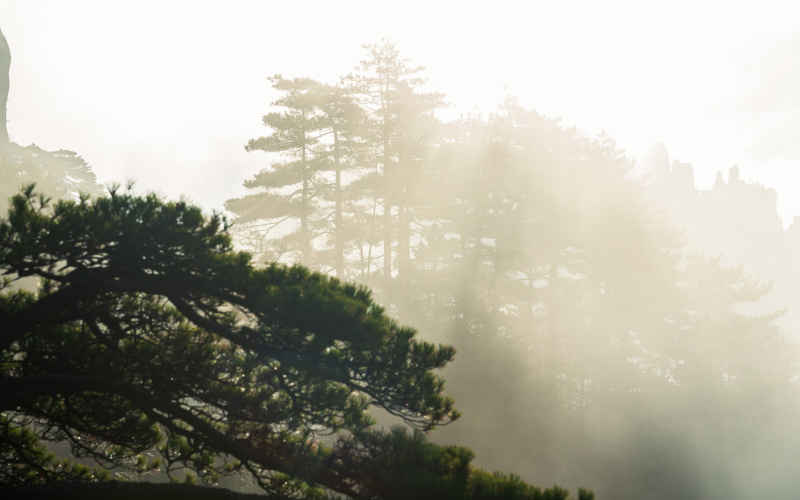黄山风景名胜区