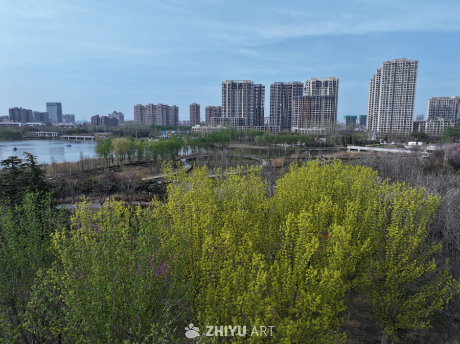 城市湖畔的春日景色