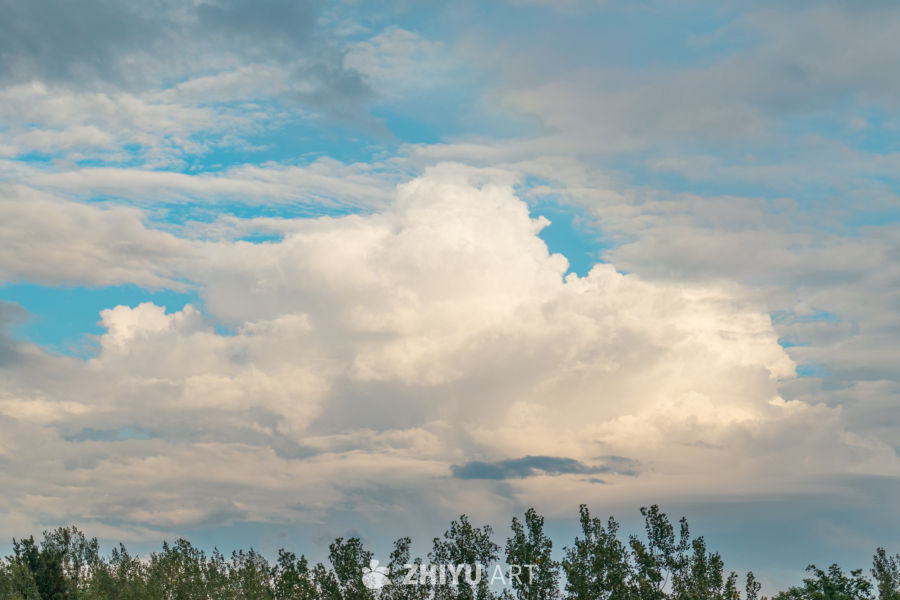 蓝天白云与绿树