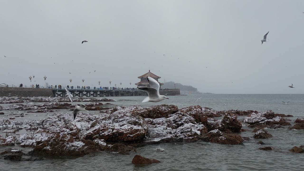 青岛市南老城区栈桥海边雪景航拍 17