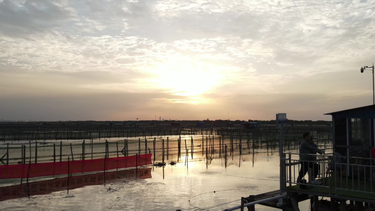 阳澄湖湖面夕阳高清4k