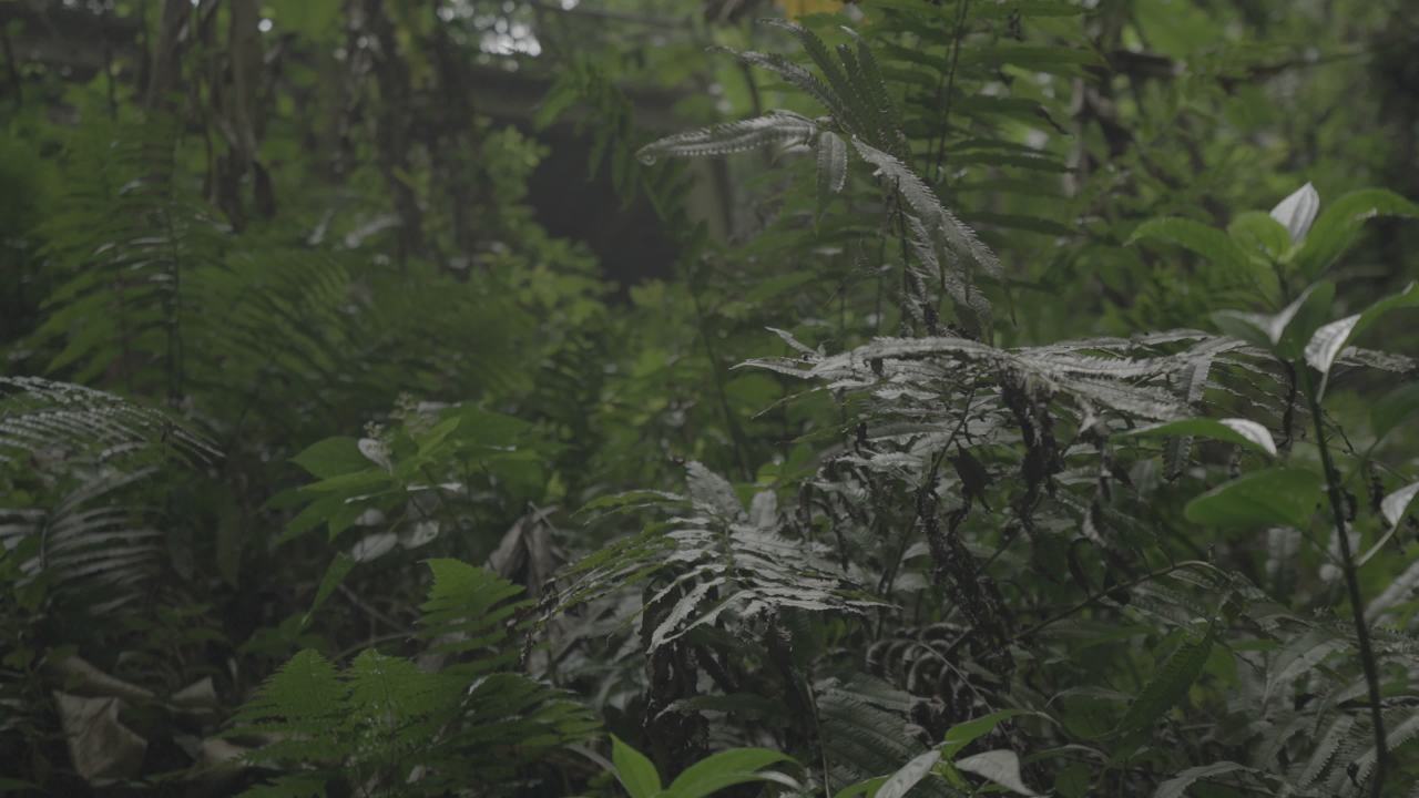 天坑 17