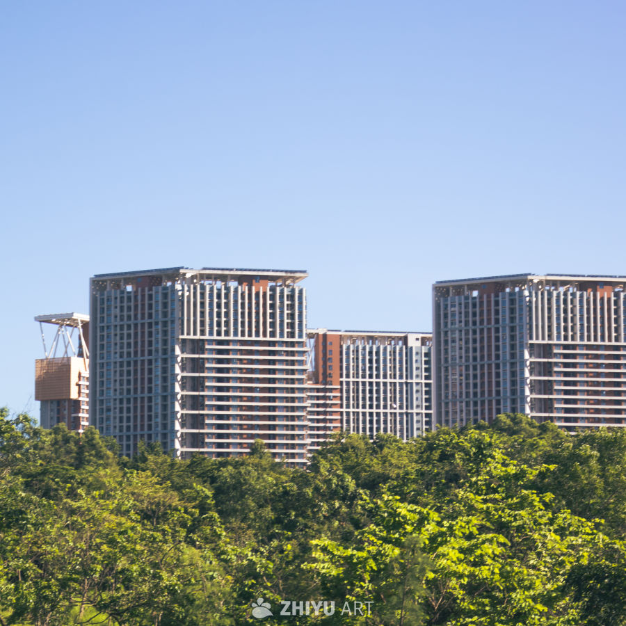 高楼与绿树的城市风光