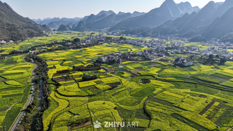 航拍贵州兴义万峰林油菜花开 5