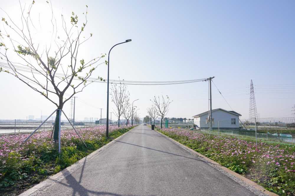 昆山横娄村