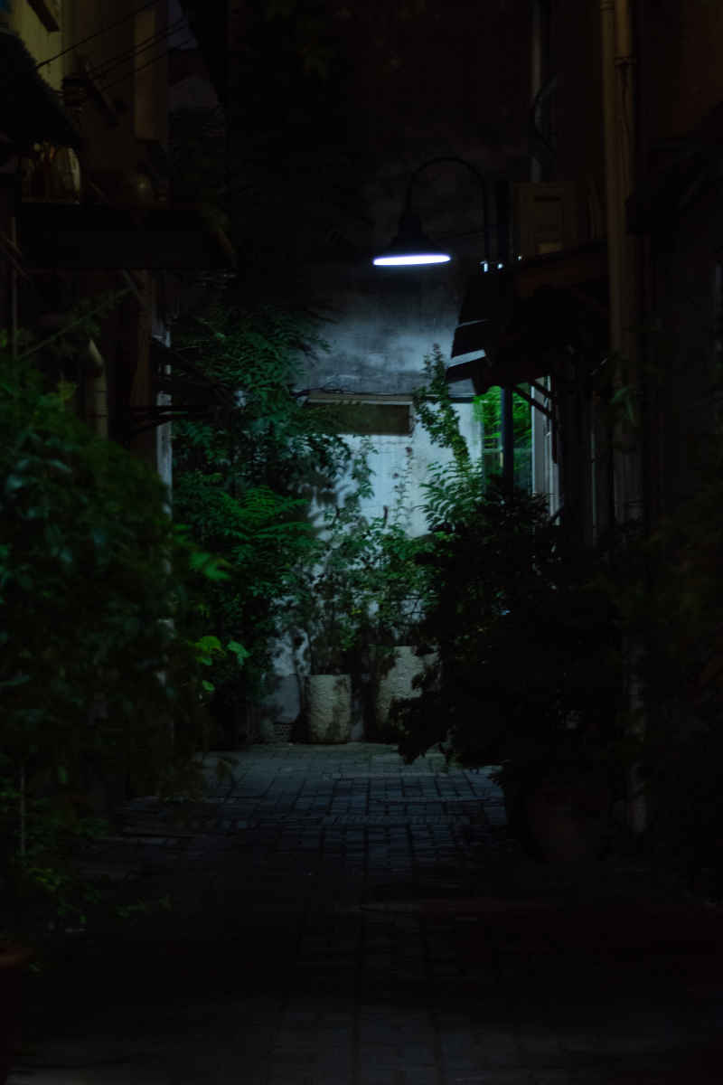楼道