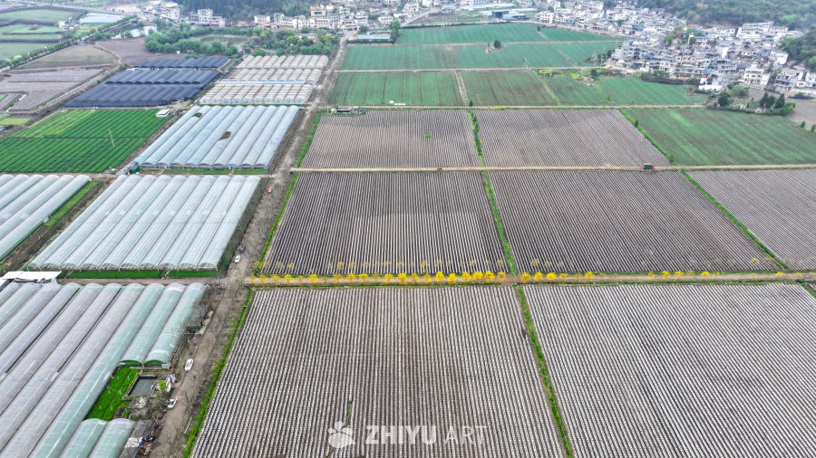  航拍农业大棚基地 农业产业乡村振兴 7