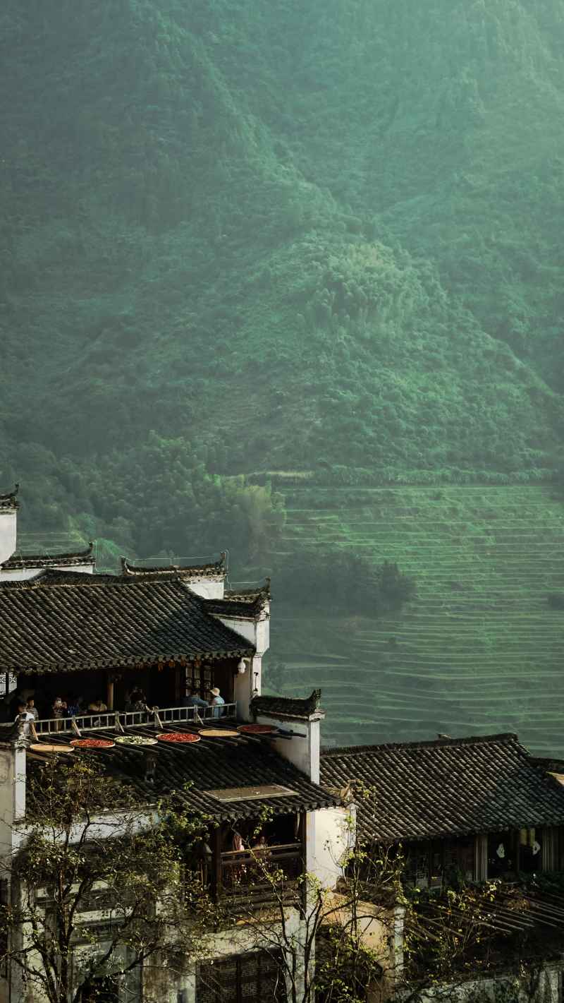 人与自然