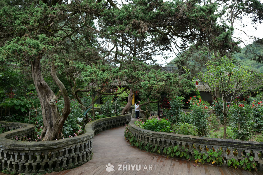 景区景色 132