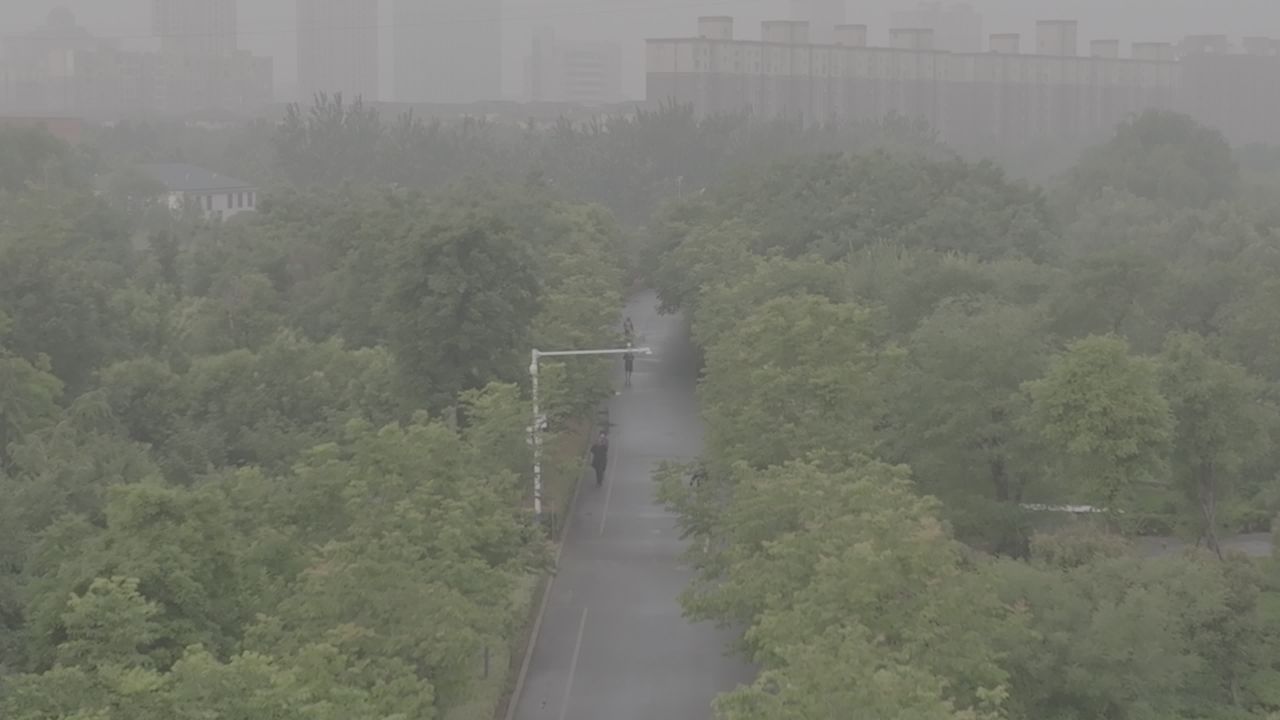 雾中漫步