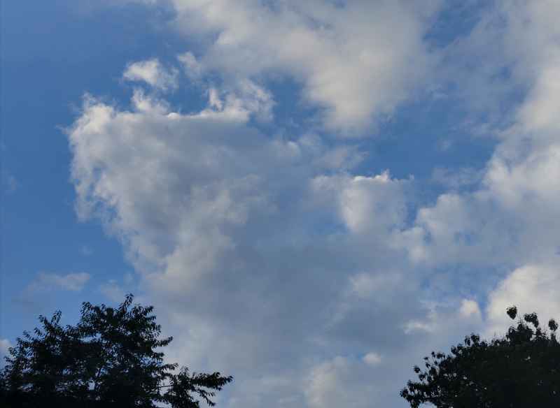 白云☁️