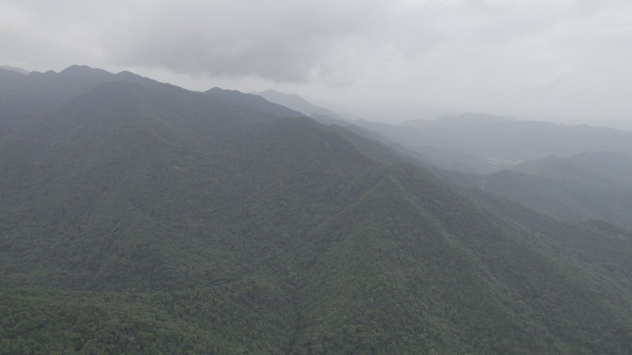 广西十万大山 5