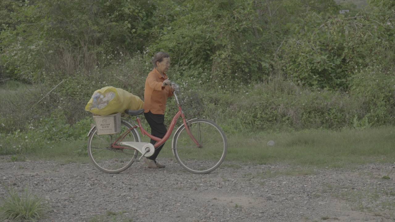 自行车 6