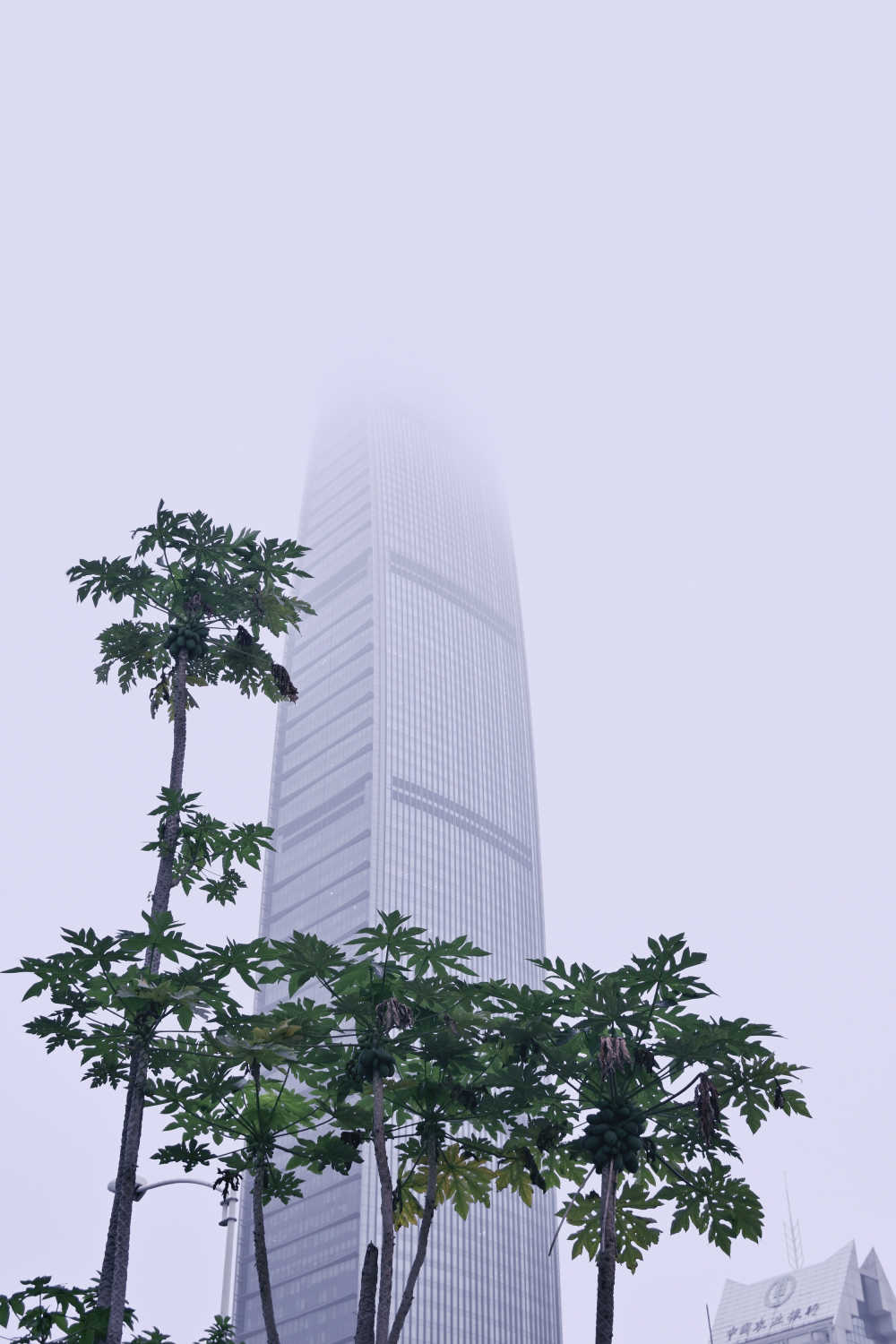 高耸入云的深圳京基100大厦