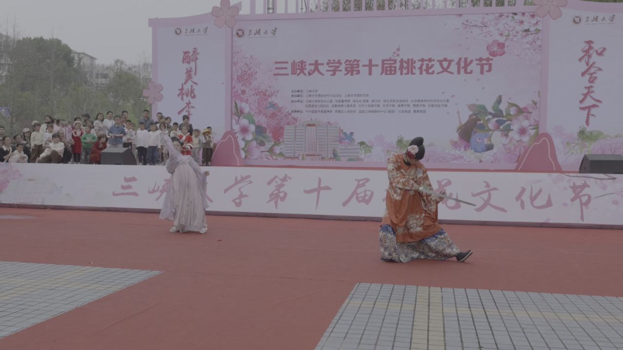 三峡大学桃花节 31